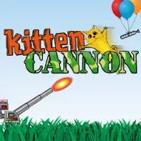 Kittencannon